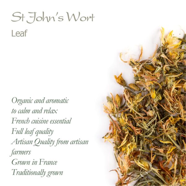 Taza con té de hierba de san juan con color ámbar claro