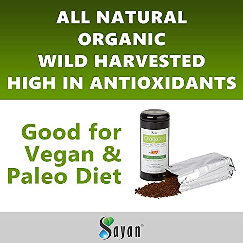 Té de chaga para mejorar digestión y energía natural