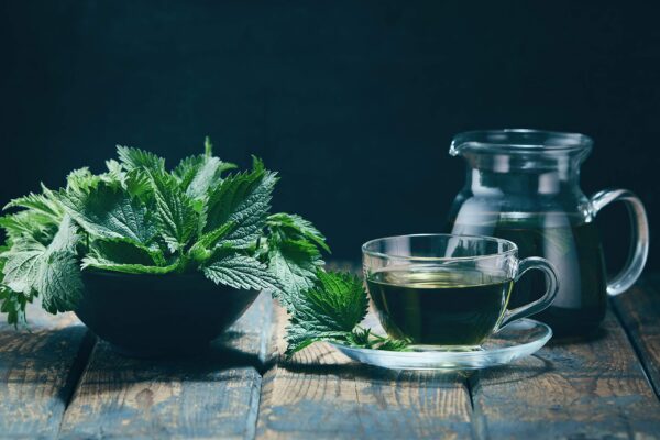 Té de ortiga cosecha limitada de Kosovo envase premium