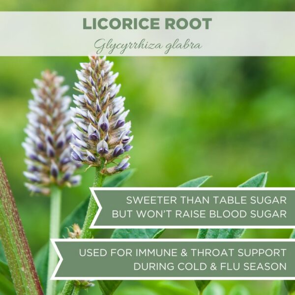 Raiz-regaliz-organica-elanen-naturals