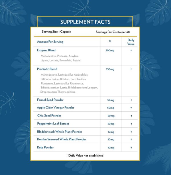 Version 1.0.0 Presentación de Terra Origin Enzimas Digestivas