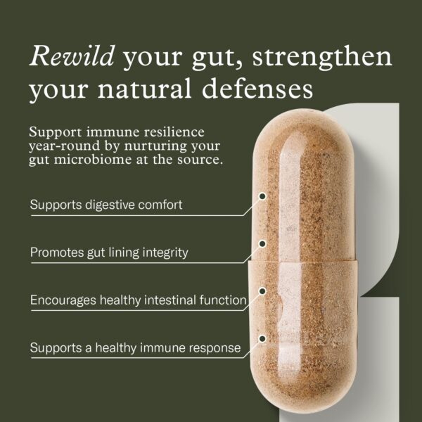 Prebióticos naturales: chaga y bladderwrack