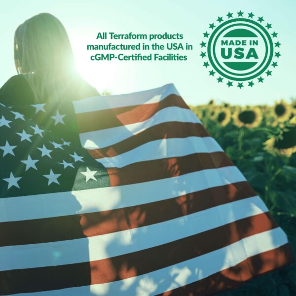 Interior de la caja NMNH 1000 mg