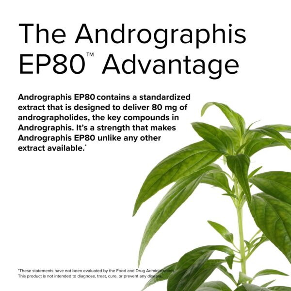 Terry Naturally Andrographis EP80 cápsulas veganas para salud y energía