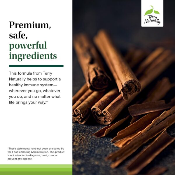 Version 1.0.0 Diseño de empaque de Bacteril