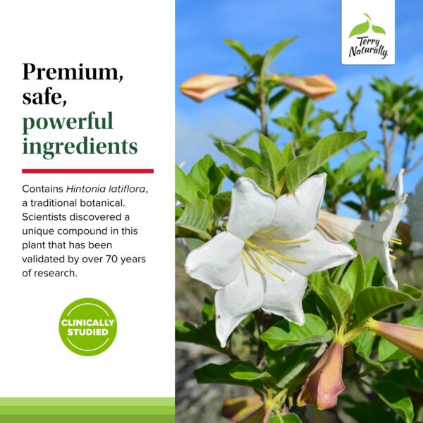 Cápsulas visibles en primer plano