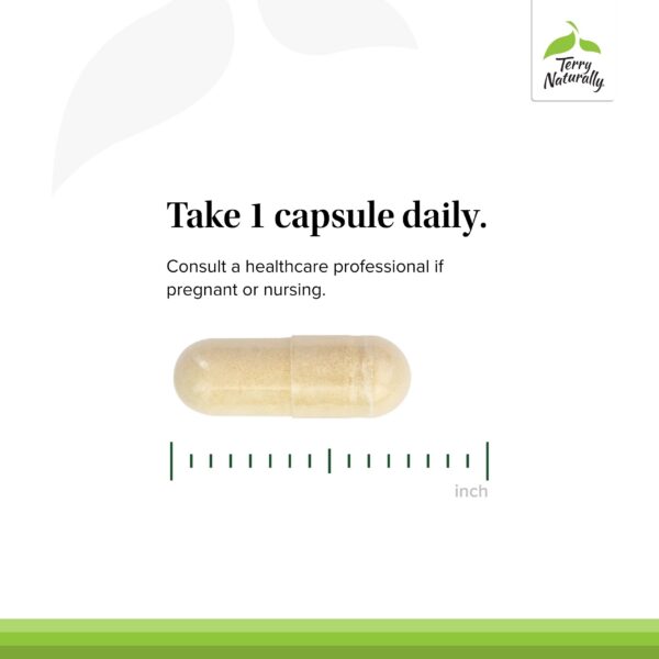 Version 1.0.0 Etiqueta y detalles del producto