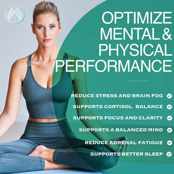 Version 1.0.0 Frasco de THE ENCLARE NUTRITION visto de cerca