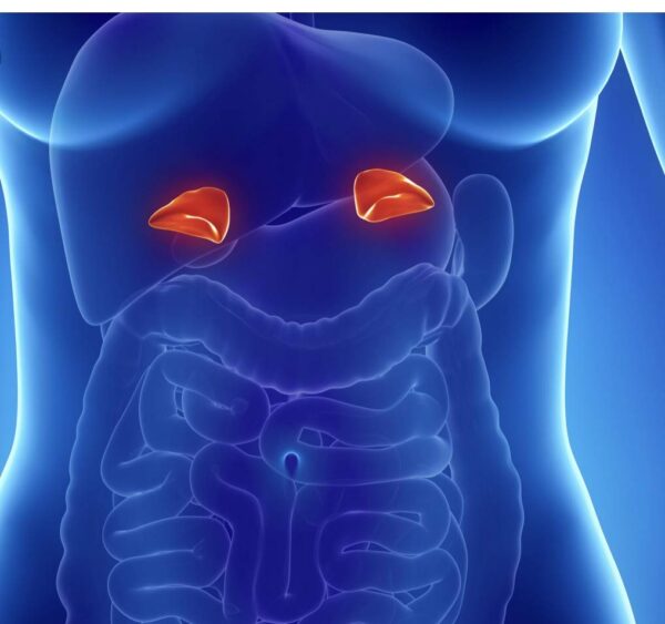 Vista lateral del envase The One Minute Miracle