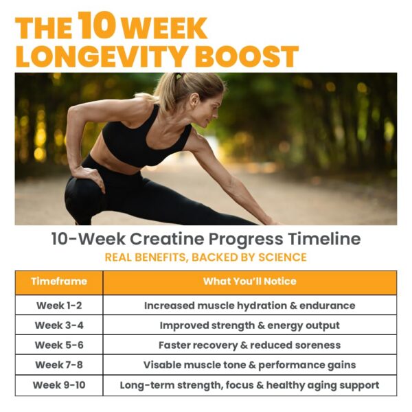 Version 1.0.0 Calidad respaldada y sabor mango