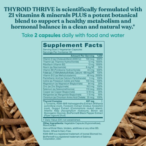 Version 1.0.0 Certificaciones GMP Halal Thrive Energy Support