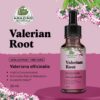 Tinctura fácil de valeriana para uso nocturno y relajación