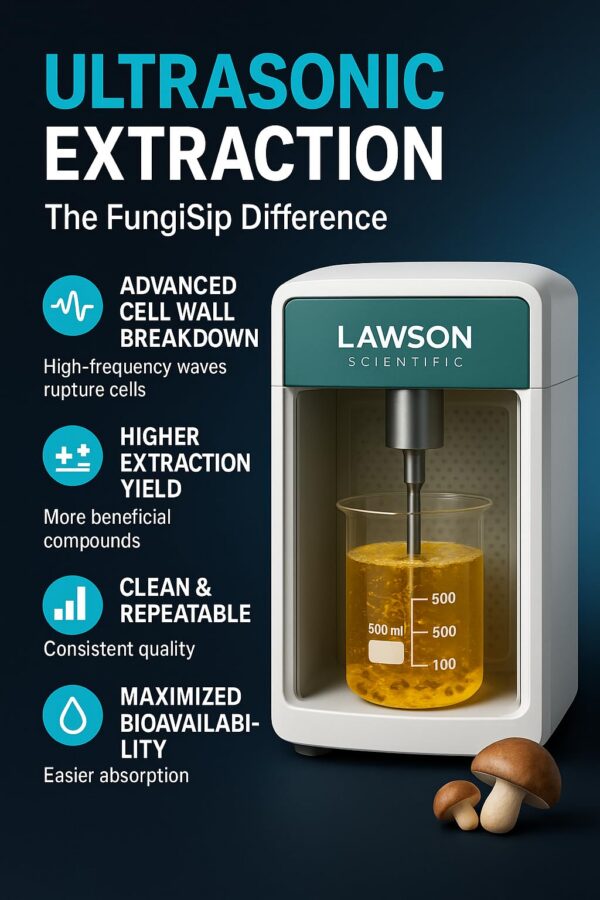 Tintura fungisip Lions Mane para apoyo memoria y concentración