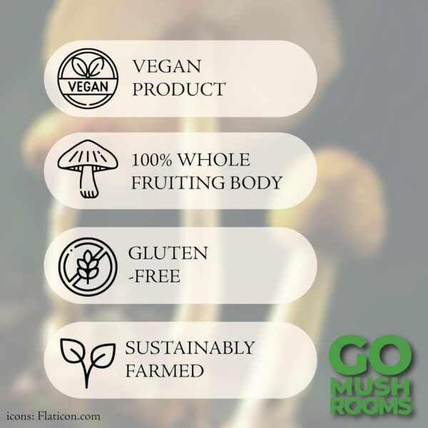 Tintura hongos bioactivos extracto dual para sistema nervioso