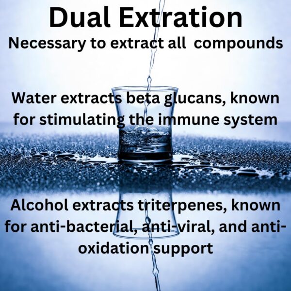 Doble extracto liquido de setas turkey tail mag mushrooms