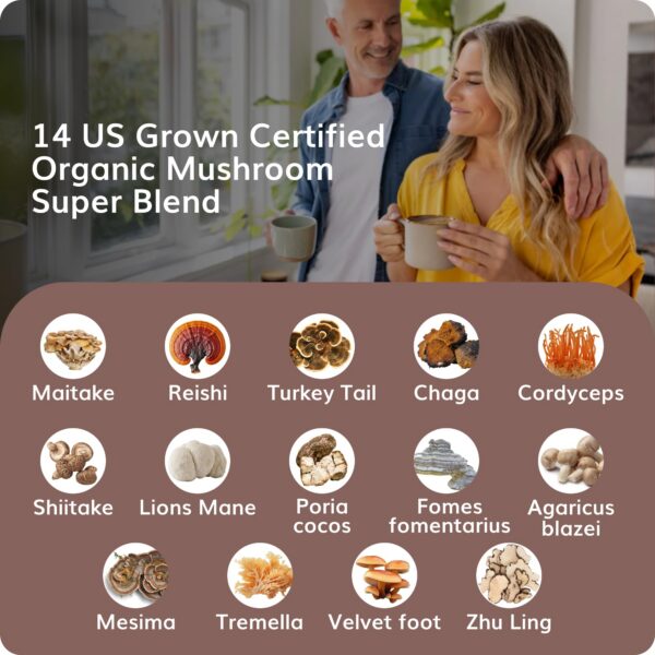 Tintura de hongos sin alcohol para energía