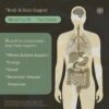 Tintura líquida mezcla 6 hongos medicinales UPHORIC URTH