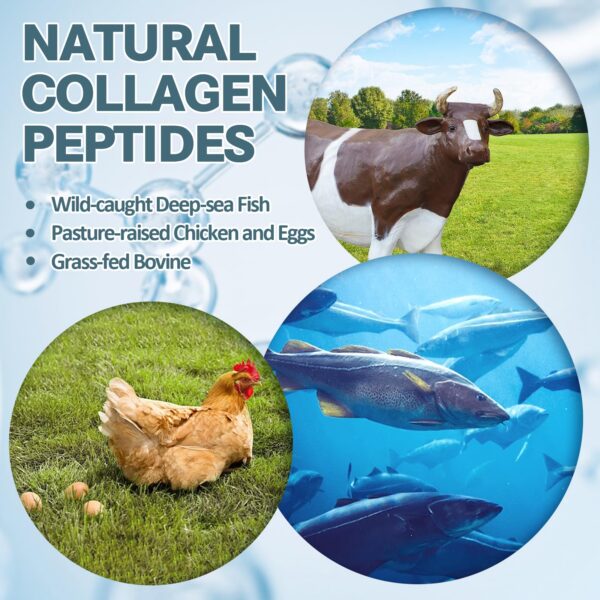 Frasco y cápsulas en primer plano