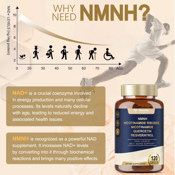 Totaria NMNH cápsulas en primer plano