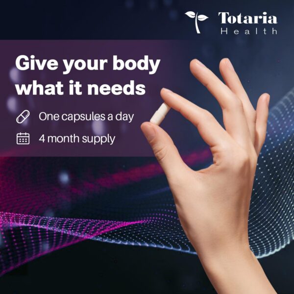 Version 1.0.0 Producto vegano sin gluten