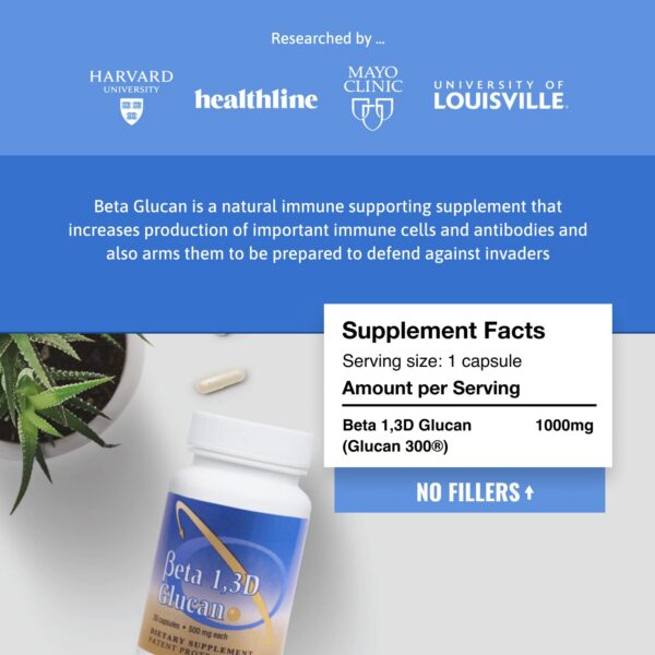 Transfer Point Beta Glucano con beneficios destacados