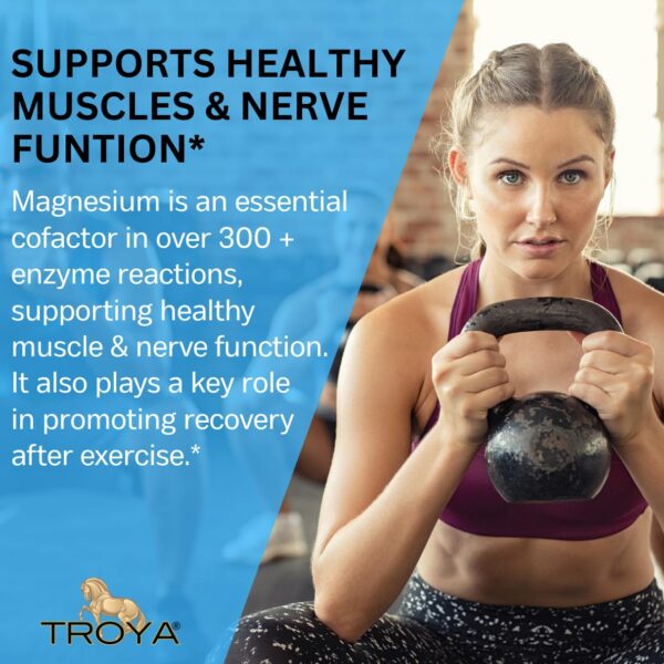 Version 1.0.0 Frente del envase y logotipo TROYA