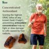 Chaga Sayan producto premium para energía y concentración