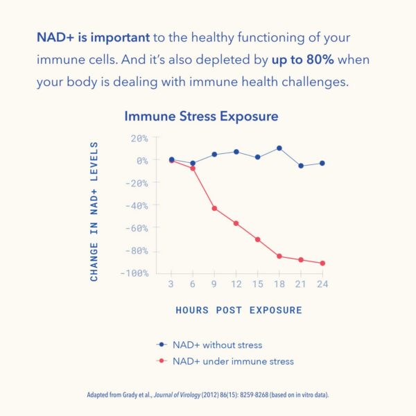 Version 1.0.0 Otra vista de la etiqueta
