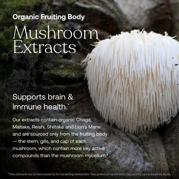 True Grace etiqueta información multivitamínico