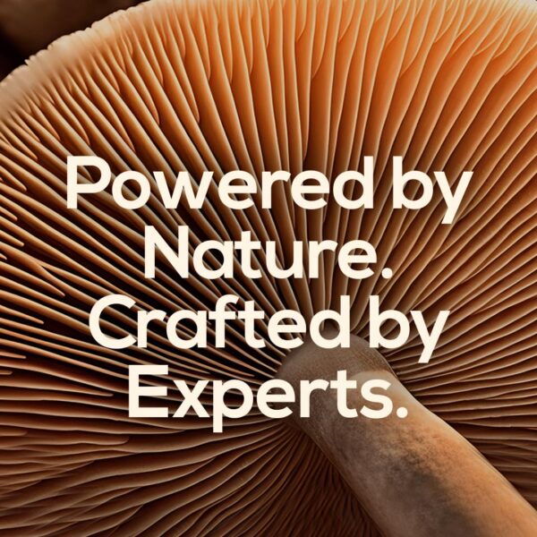 TrueMushroom soporta memoria y energía con hongos orgánicos