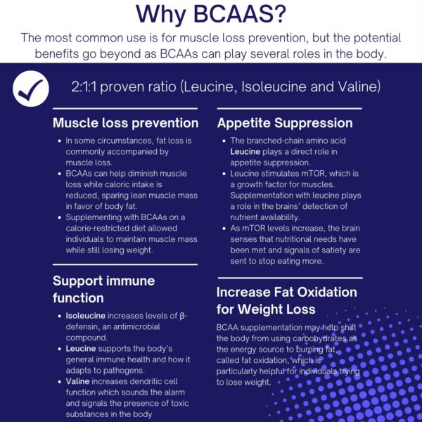 Conjunto de porciones listas para mezclar