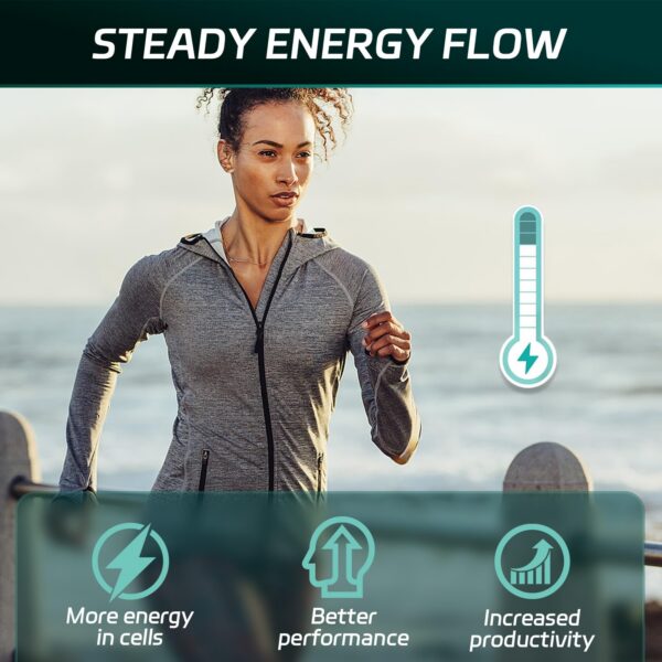 Ingredientes Sea Moss 21 en 1