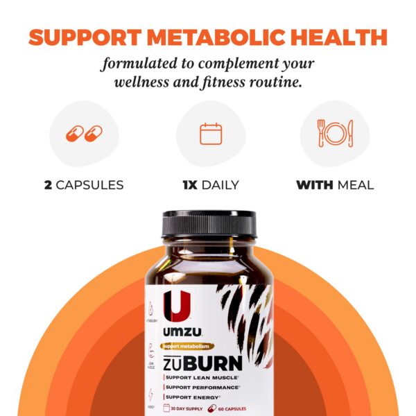 Version 1.0.0 Granos de Paraíso y ingredientes ZuBurn