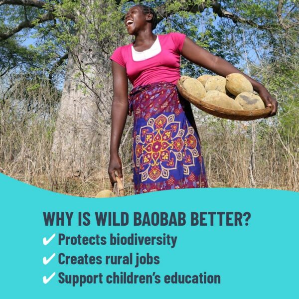 Conjunto de 12 botellas de UNROOTED Shot Mighty Ginger