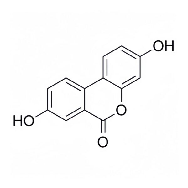 Caja y frasco en estuche