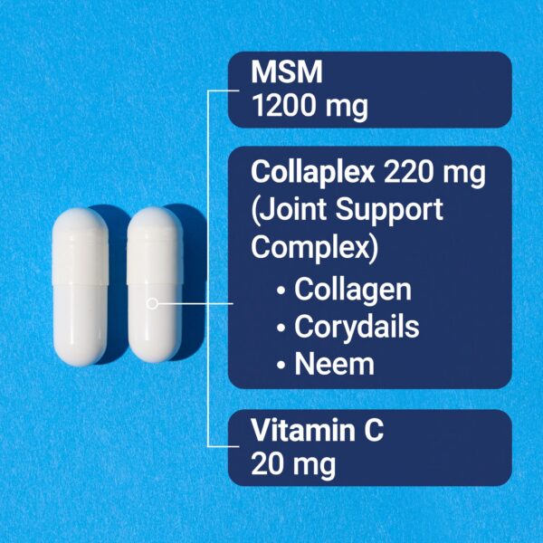 Version 1.0.0 Cápsulas en blister sobre fondo