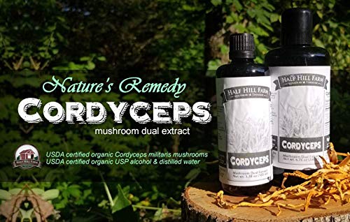 Uso de extracto de Cordyceps en bebidas