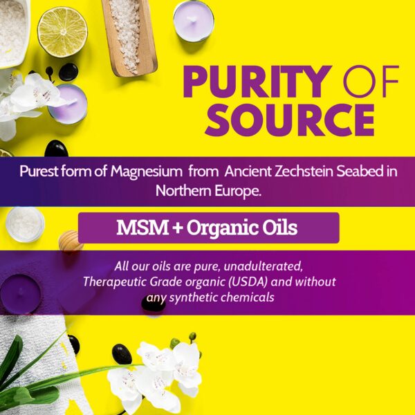 Muestras de ingredientes naturales