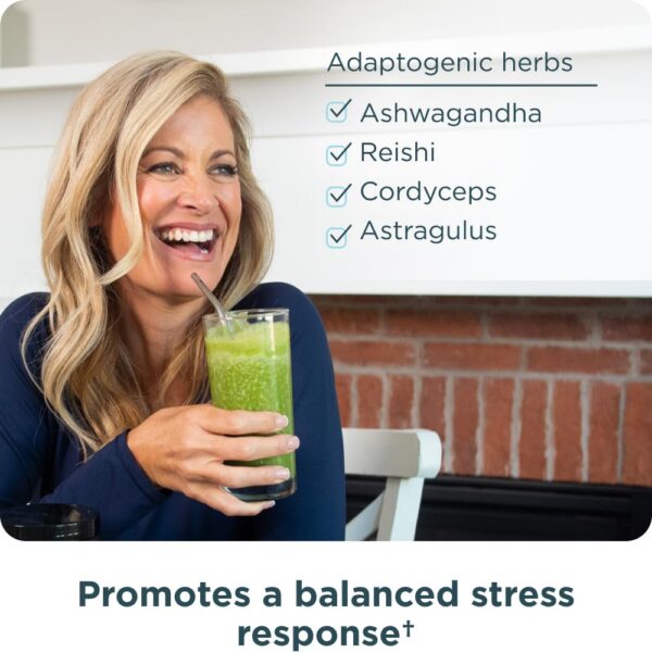 Vaso con polvo y líqudo Ancient Nutrition Super Greens