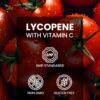 Version 1.0.0 Empaque externo Ved Lycopene
