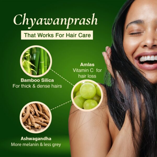 Presentacion de 35.2 onzas de chyawanprash