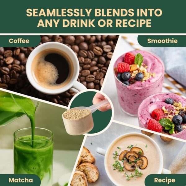 Asesoría GMP y marca Venture Pal