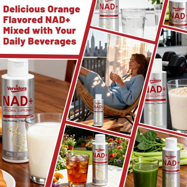 Version 1.0.0 Presentacion del producto Vervidora NAD+