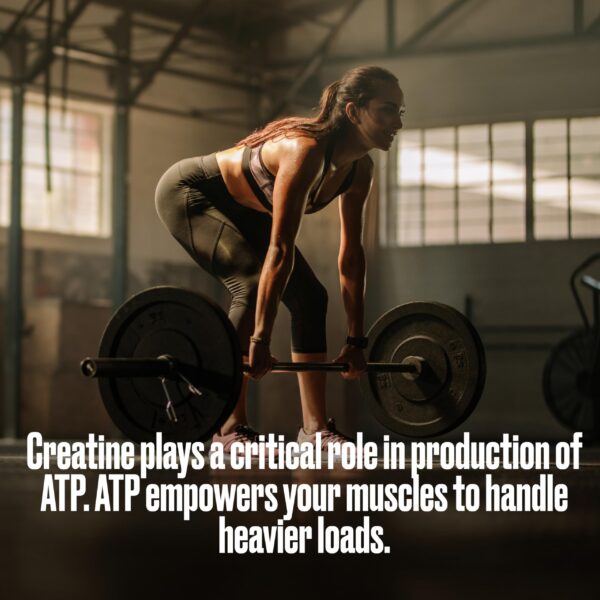 Version 1.0.0 Producto Bullfit verificado por terceros