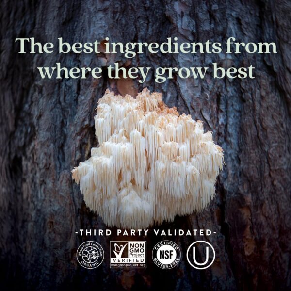 Vida saludable con cápsulas veganas New Chapter hongos