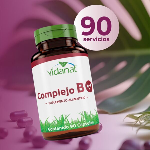 Version 1.0.0 Etiqueta de Vidanat Complex B