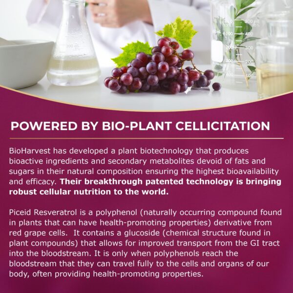 Información nutricional VINIA