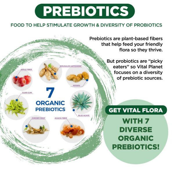 Etiqueta de probiótico Vital Flora con inoculantes vivos activos