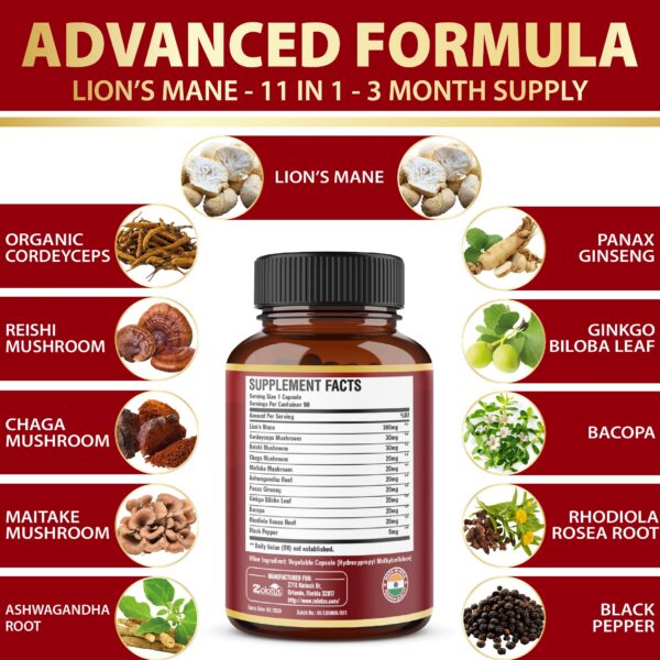 Vista lateral frasco cápsulas Zolotus Melena de León