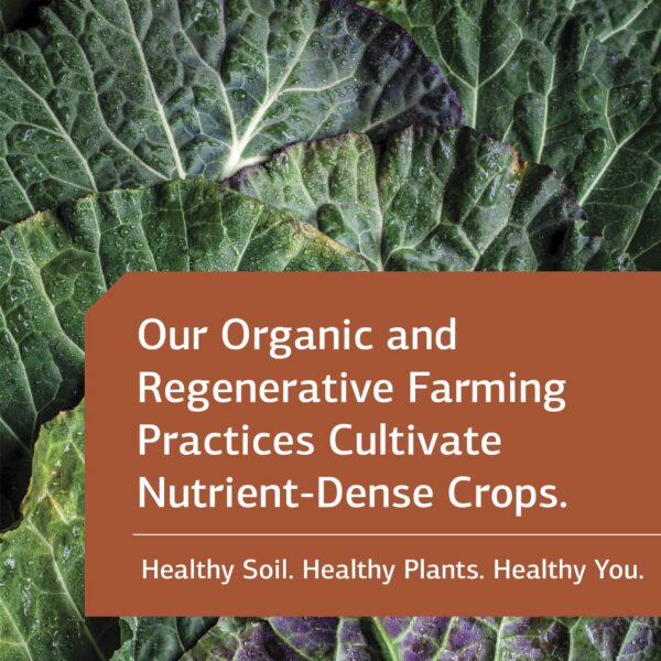 Vista lateral Standard Process Linum B6 caja azul y amarilla